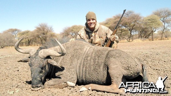 Blue wildebeest hunted with Ozondjahe Hunting Safaris in Namibia