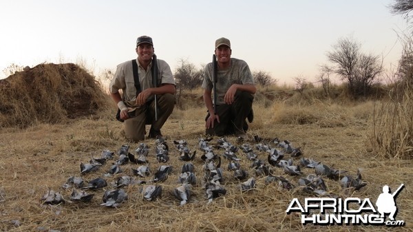 Doves hunted with Ozondjahe Hunting Safaris in Namibia