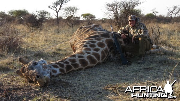 Giraffe hunted with Ozondjahe Hunting Safaris in Namibia