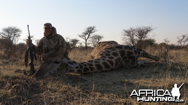 Giraffe hunted with Ozondjahe Hunting Safaris in Namibia