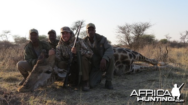 Giraffe hunted with Ozondjahe Hunting Safaris in Namibia