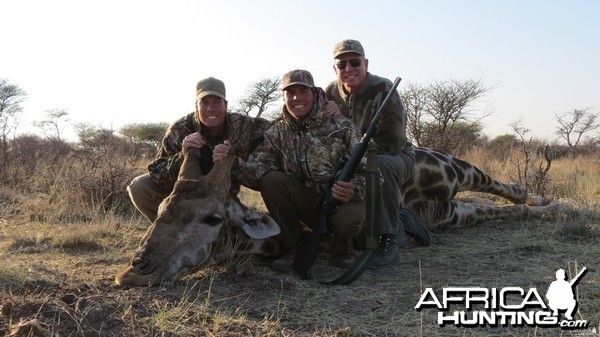 Giraffe hunted with Ozondjahe Hunting Safaris in Namibia