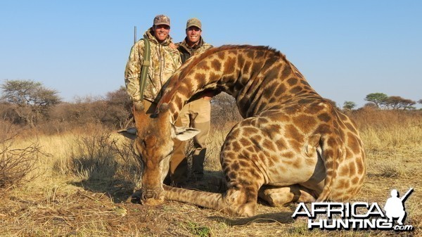 Giraffe hunted with Ozondjahe Hunting Safaris in Namibia