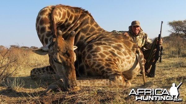 Giraffe hunted with Ozondjahe Hunting Safaris in Namibia