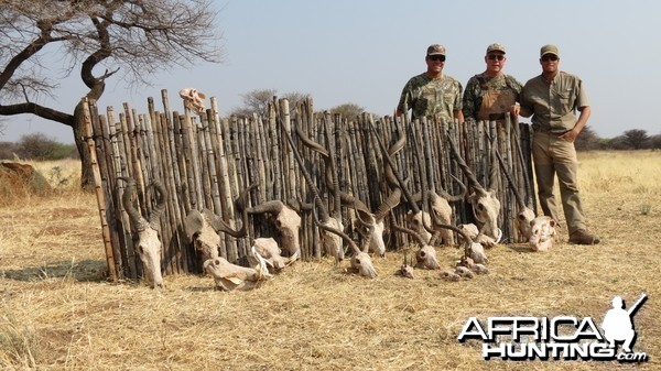 Trophies hunted with Ozondjahe Hunting Safaris in Namibia