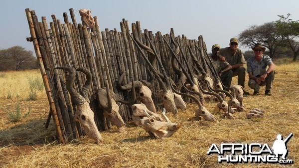 Trophies hunted with Ozondjahe Hunting Safaris in Namibia