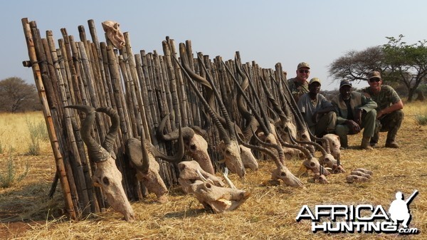 Trophies hunted with Ozondjahe Hunting Safaris in Namibia