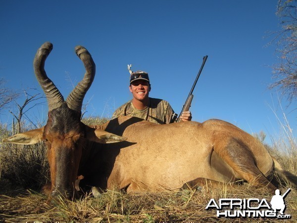 Red Hartebeest hunted with Ozondjahe Hunting Safaris in Namibia