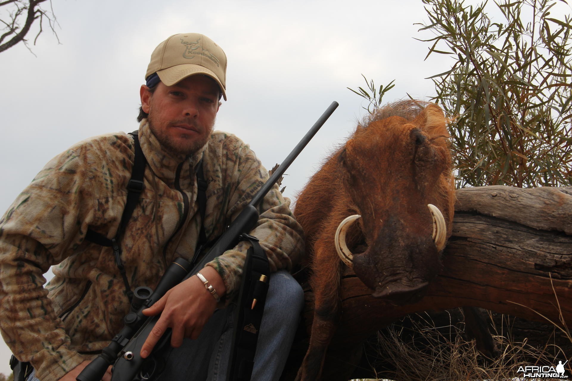 Warthog