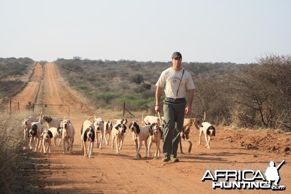 The art of hunting over hounds