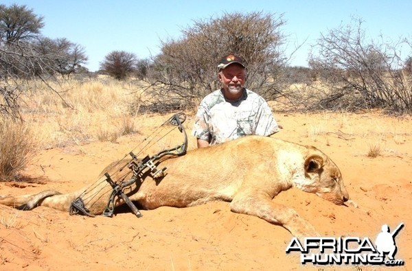 Lioness in the Kalahari!