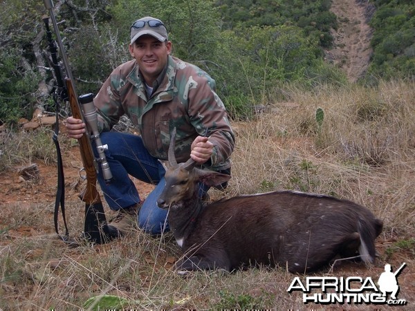 Bushbuck