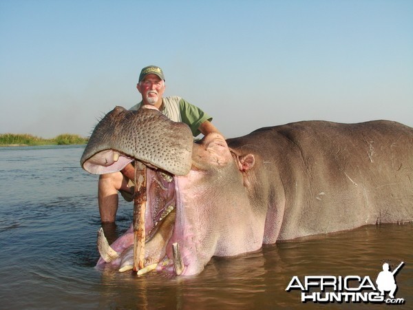 Hippo Mozambique