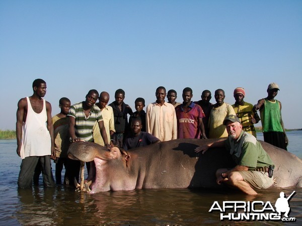 Hippo Mozambique