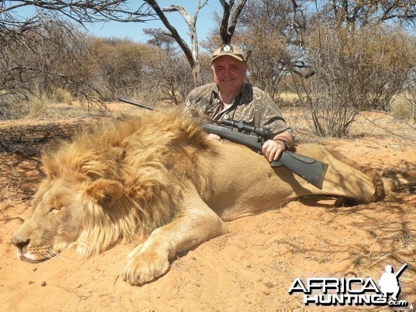 LION SOUTH AFRICAN SAFARI 2012