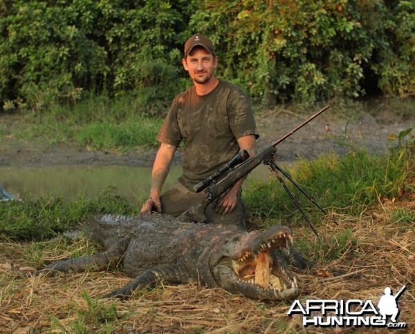 Mozambique Crocodile