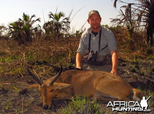 Common Reedbuck - Mozambique