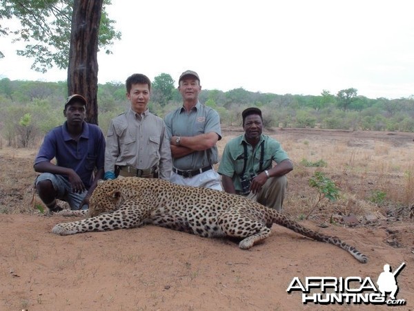 Zimbabwe's Leopard