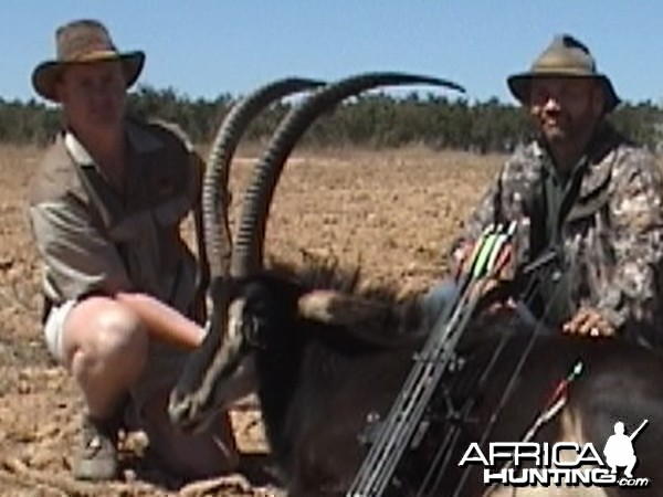 40'' + Sable with bow, took with Warthog Safaris