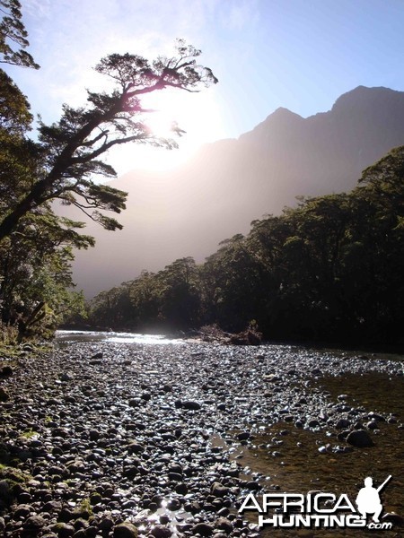 Fiordland