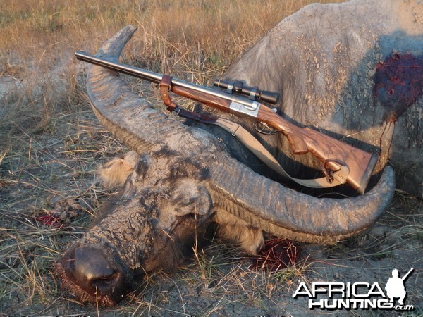 Hunting Asiatic Buffalo in Northern Australia