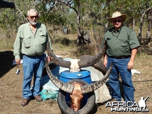 Hunting Asiatic Buffalo in Northern Australia