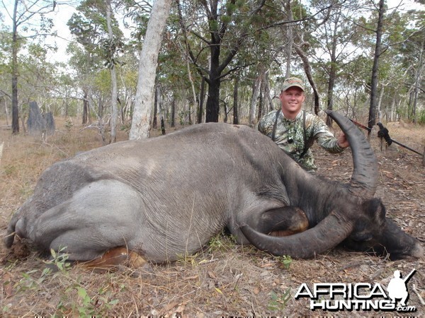 Hunting Asiatic Buffalo in Northern Australia