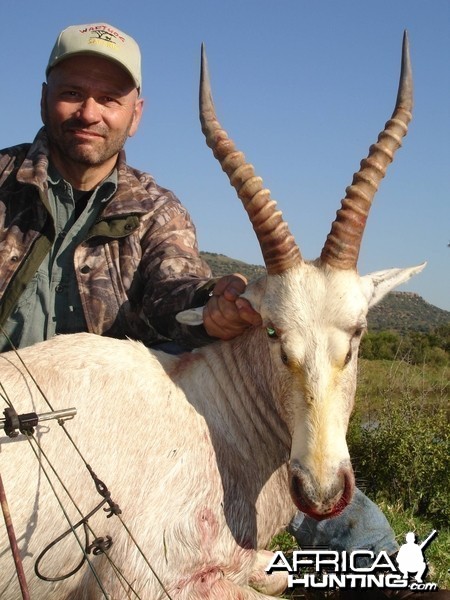 White Blesbok with bow, took with Warthog Safaris