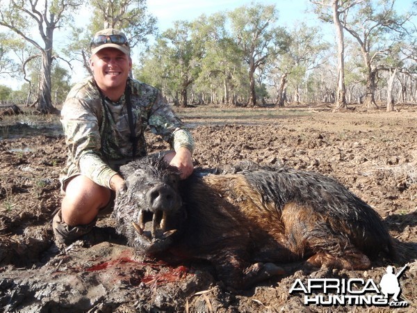 Hunting Boar in Northern Australia