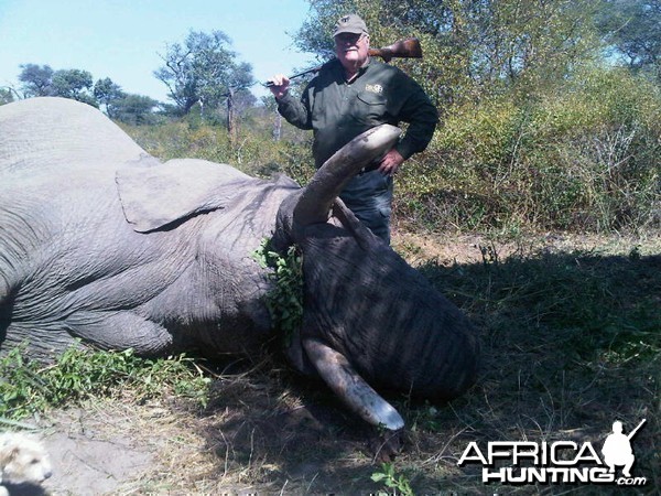 Elephant Namibia