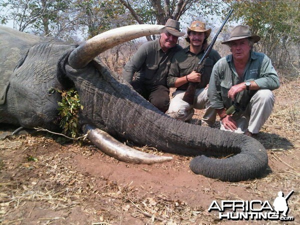 Elephant Namibia