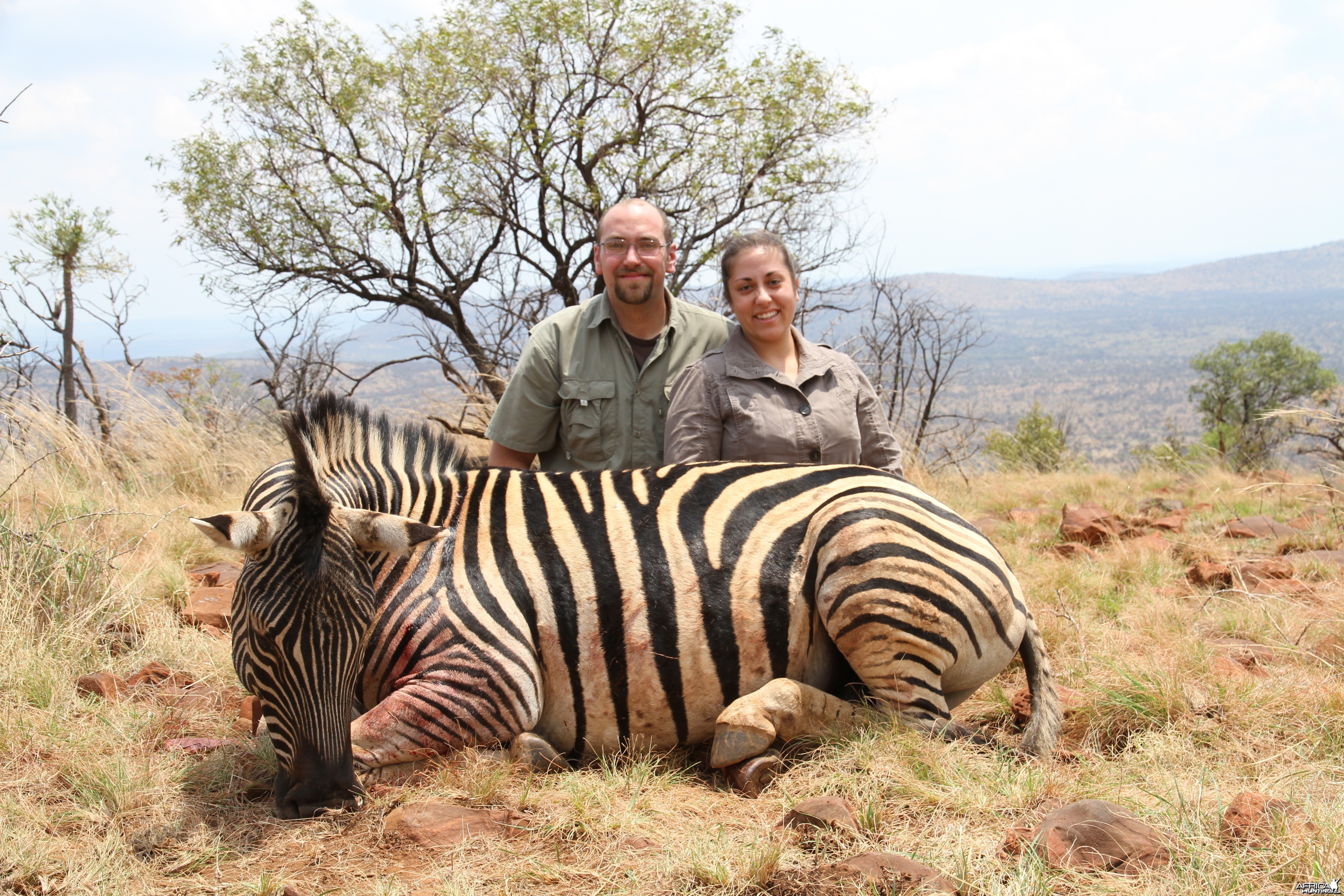 Burchell Zebra 2012