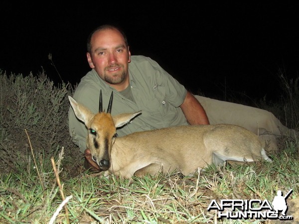 Southern Bush Duiker 2012