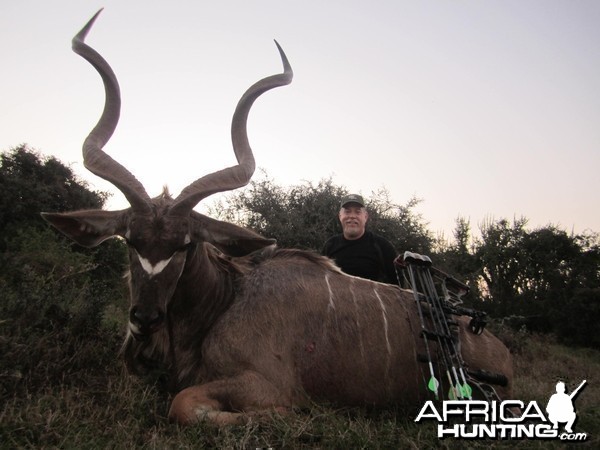 Kudu at Induna Safari