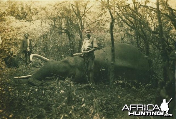 Elephant Nawab Sultan Ali Khan Sahab