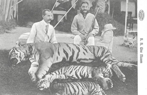 H.H. Nizam Asaf Jah VI Tiger Hunt Hyderabad India 1906