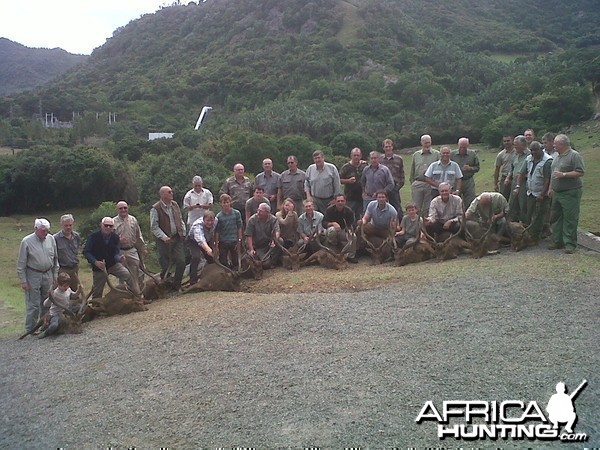 Driven hunt in Mauritius