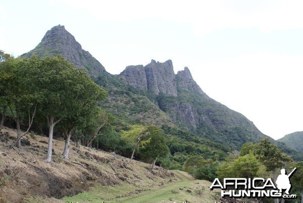 Hunting Grounds in Mauritius