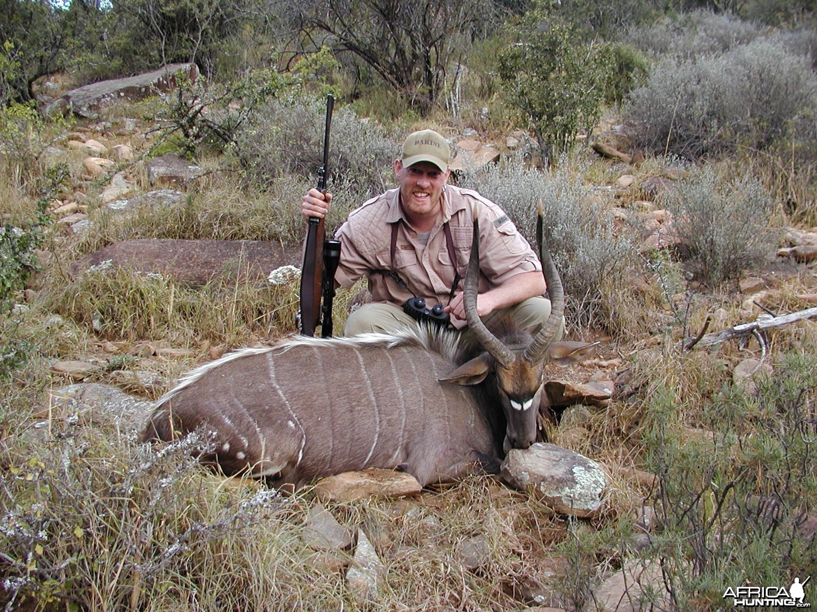 Nyala Bull (Eastern cape)