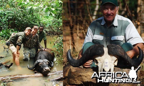 Central African Buffalo