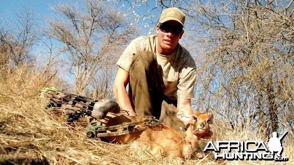 Bowhunting Steenbok in Namibia