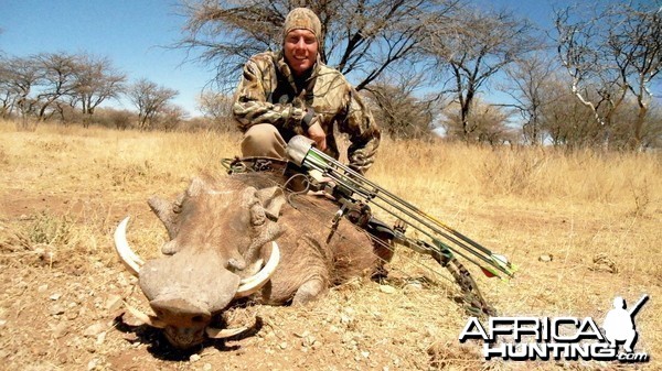 Bowhunting Warthog in Namibia