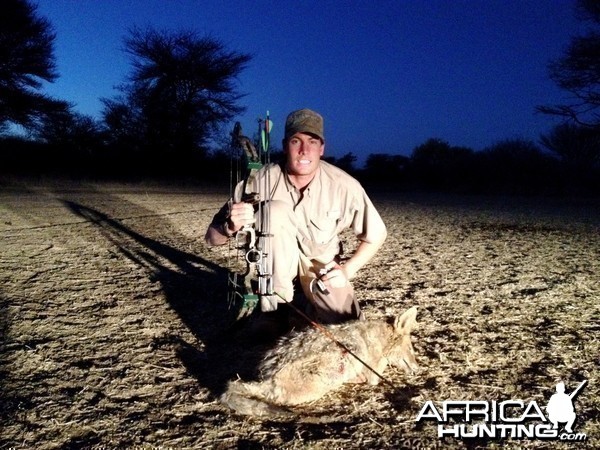 Bowhunting Jackal in Namibia