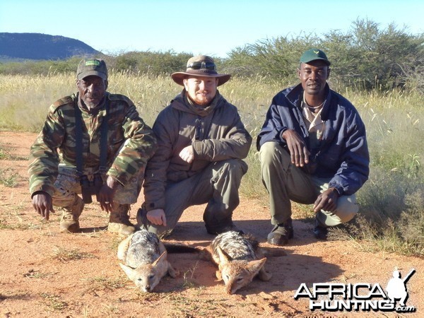 Hunting Jackal in Namibia