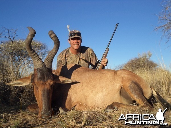 Hunting Red Hartebeest in Namibia