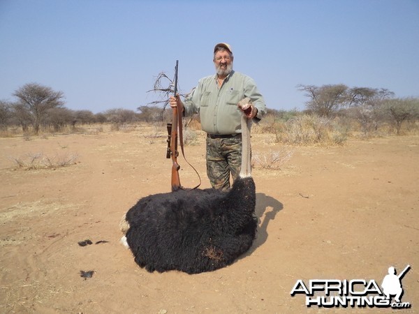 Hunting Ostrich in Namibia