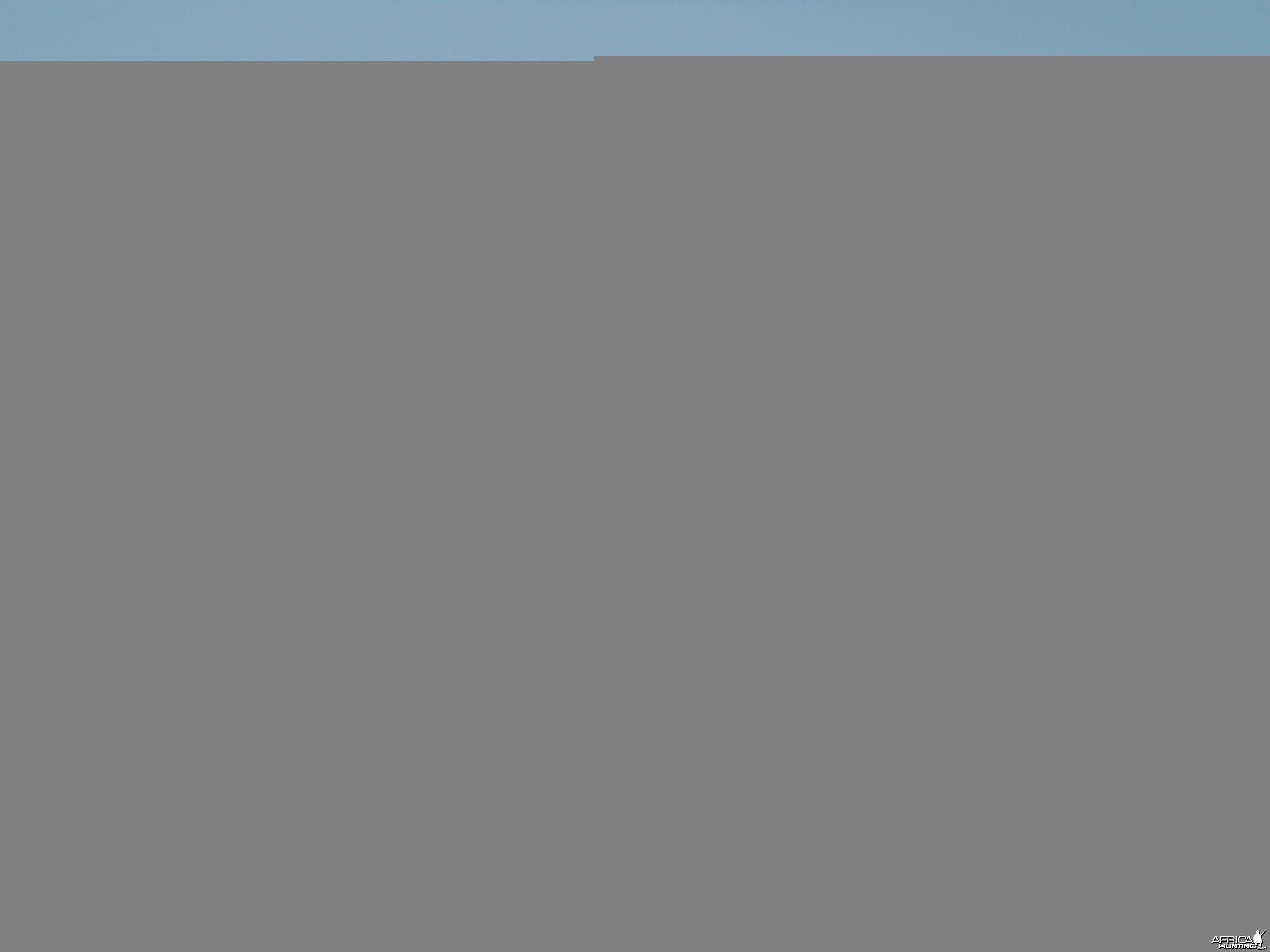 Hunting Blue Wildebeest in Namibia