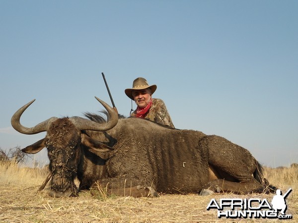 Hunting Blue Wildebeest in Namibia