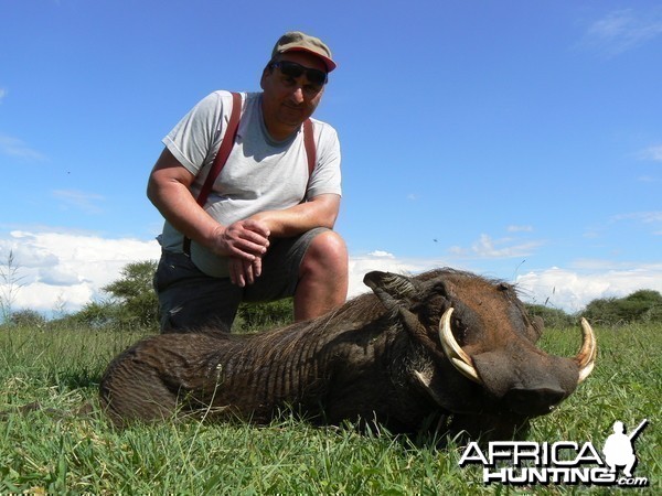 Hunting Warthog in Namibia