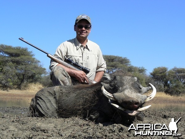 Hunting Warthog in Namibia